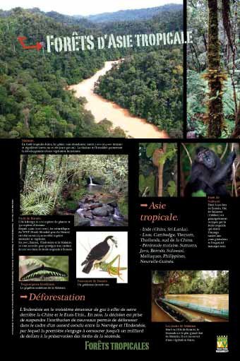 Panneau de l'exposition Forets tropicales