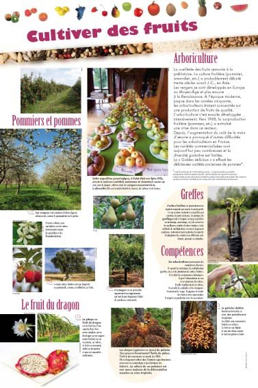 Panneau de l'exposition La graine et le fruit