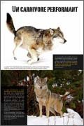 Panneau de l'exposition Le loup