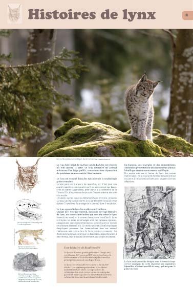 Panneau de l'exposition Lynx