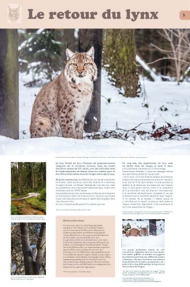 Panneau de l'exposition Lynx