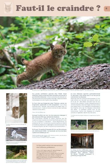 Panneau de l'exposition Lynx