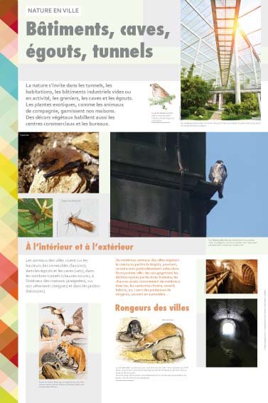 Panneau de l'exposition Nature en ville