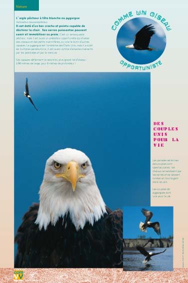 Panneau de l'exposition Comme un oiseau