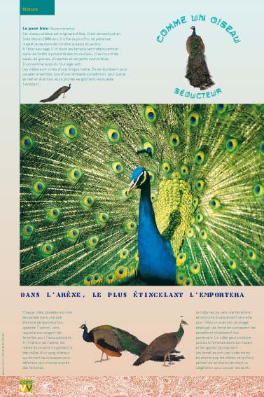 Panneau de l'exposition Comme un oiseau