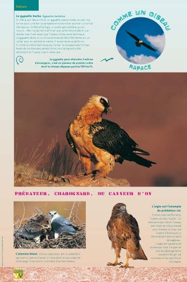 Panneau de l'exposition Comme un oiseau