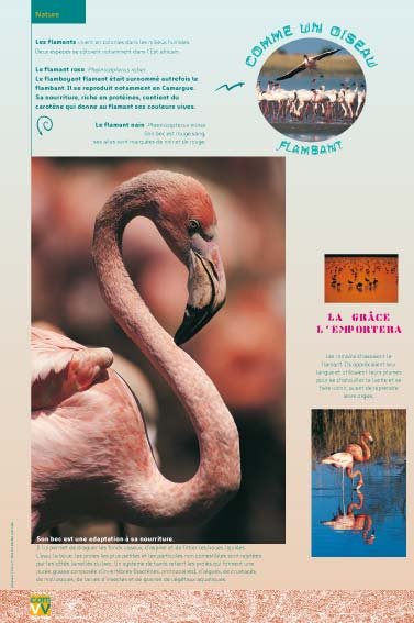 Panneau de l'exposition Comme un oiseau