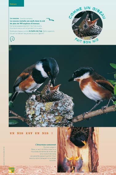 Panneau de l'exposition Comme un oiseau