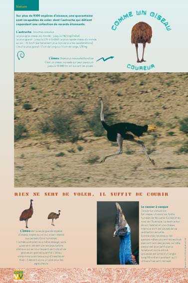 Panneau de l'exposition Comme un oiseau