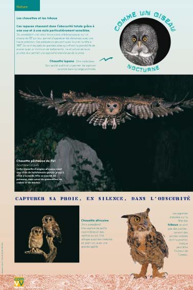 Panneau de l'exposition Comme un oiseau