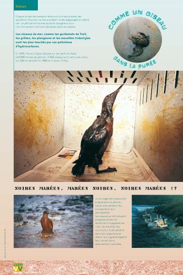 Panneau de l'exposition Comme un oiseau