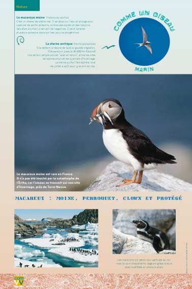 Panneau de l'exposition Comme un oiseau