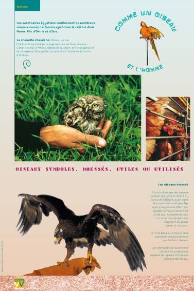 Panneau de l'exposition Comme un oiseau