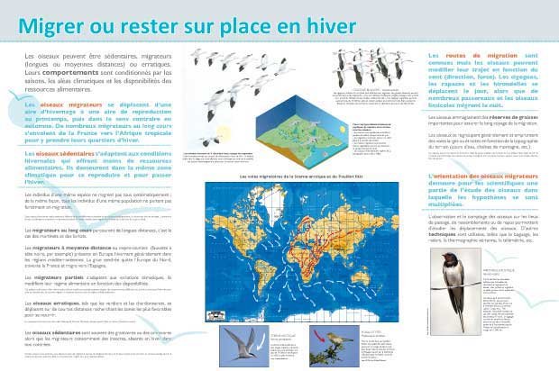 Panneau de l'exposition Oiseaux (Decouvertes)