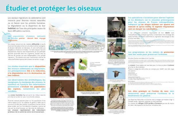 Panneau de l'exposition Oiseaux (Decouvertes)