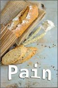 Pain