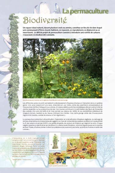 Panneau de l'exposition Permaculture