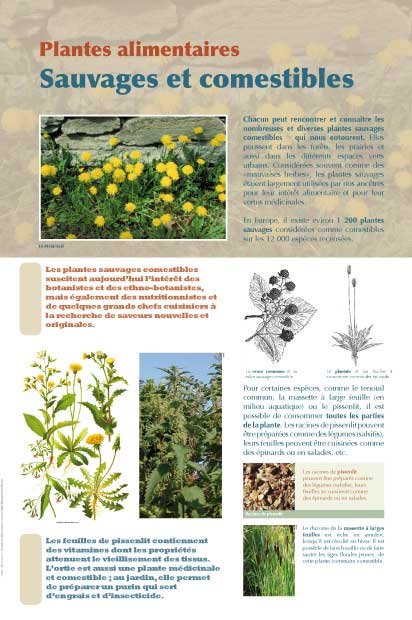 Panneau de l'exposition Plantes alimentaires