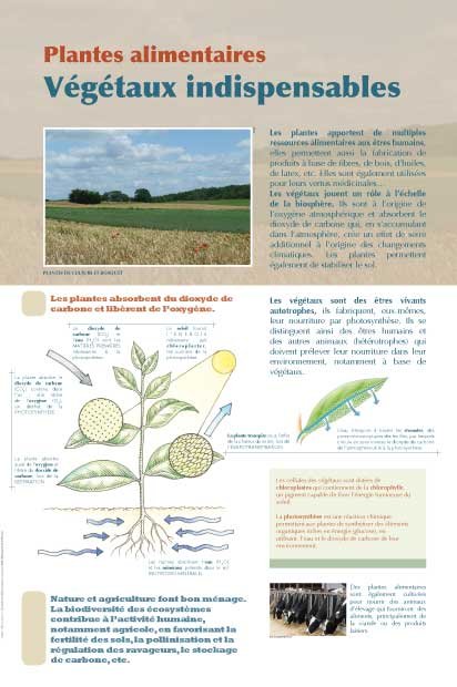 Panneau de l'exposition Plantes alimentaires