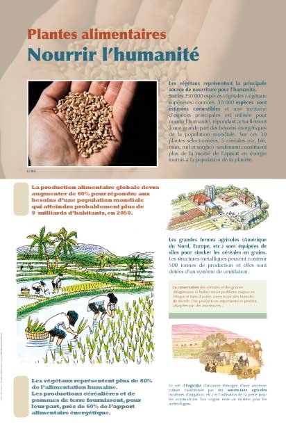 Panneau de l'exposition Plantes alimentaires