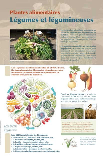 Panneau de l'exposition Plantes alimentaires