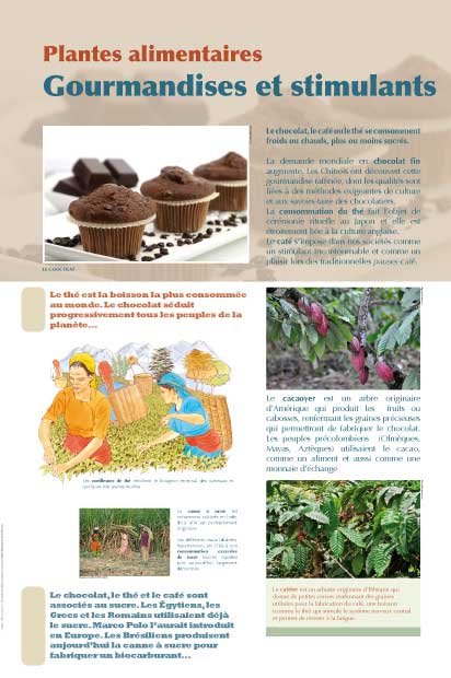 Panneau de l'exposition Plantes alimentaires