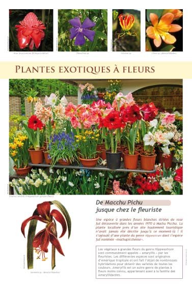 Panneau de l'exposition Plantes exotiques