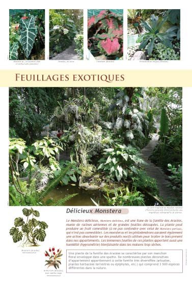 Panneau de l'exposition Plantes exotiques