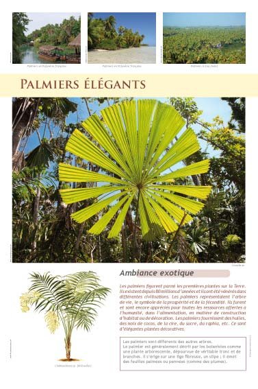 Panneau de l'exposition Plantes exotiques