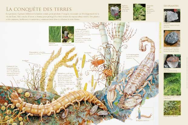 Panneau de l'exposition Premiers etres vivants