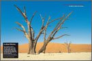 Panneau de l'exposition Reagir aux changements climatiques