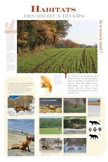 Panneau de l'exposition Renard