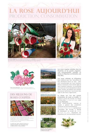 Panneau de l'exposition Roses