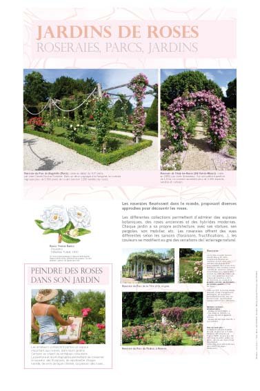 Panneau de l'exposition Roses