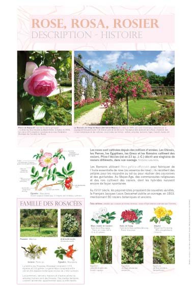 Panneau de l'exposition Roses