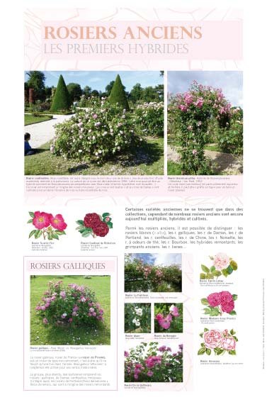Panneau de l'exposition Roses