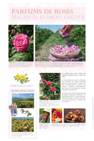 Panneau de l'exposition Roses