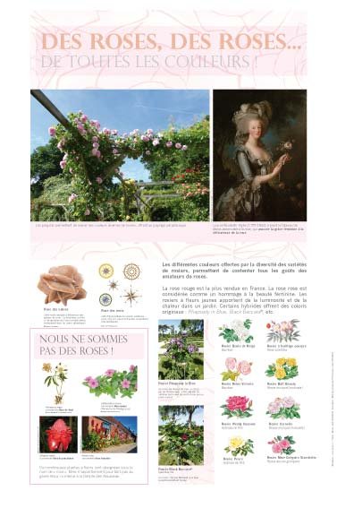 Panneau de l'exposition Roses