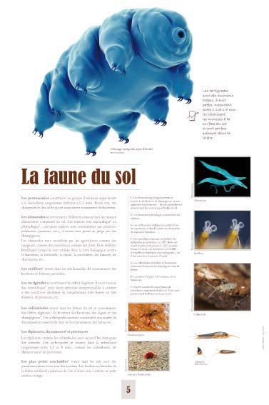 Panneau de l'exposition Le sol
