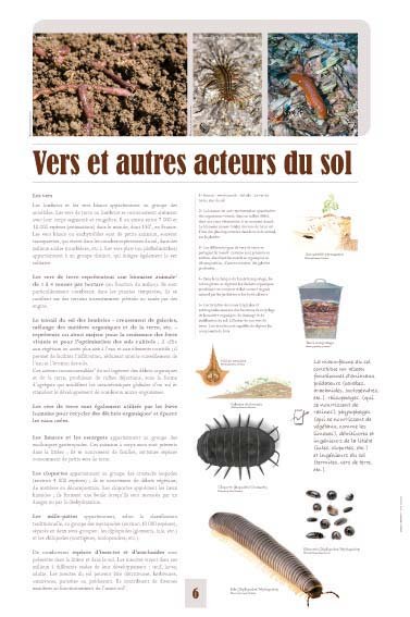 Panneau de l'exposition Le sol