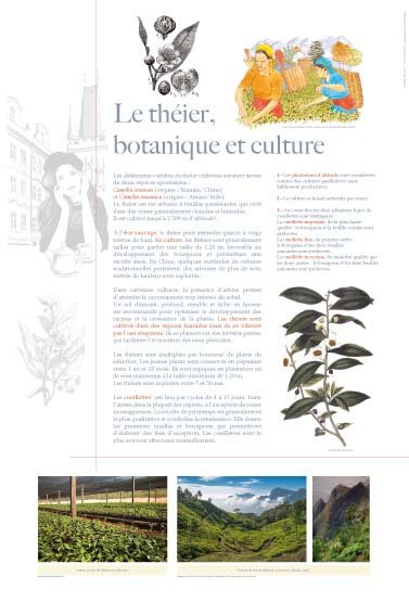 Panneau de l'exposition The