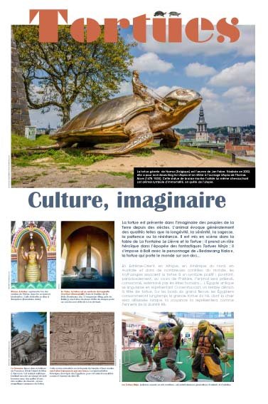 Panneau de l'exposition Tortues