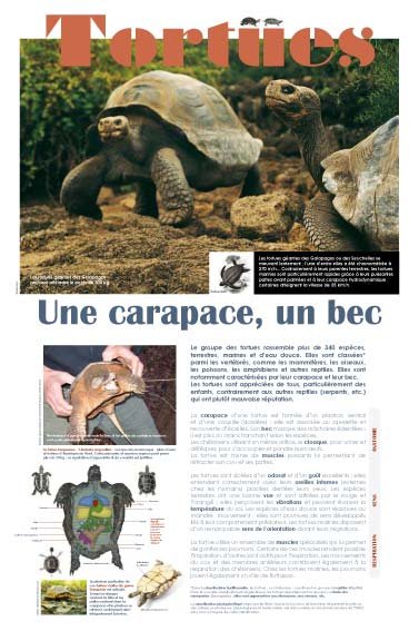 Panneau de l'exposition Tortues
