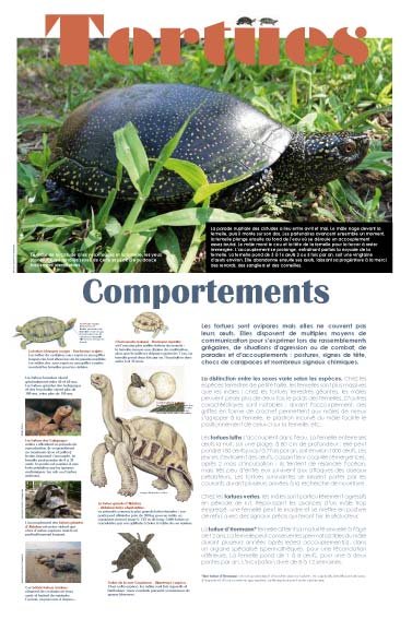 Panneau de l'exposition Tortues