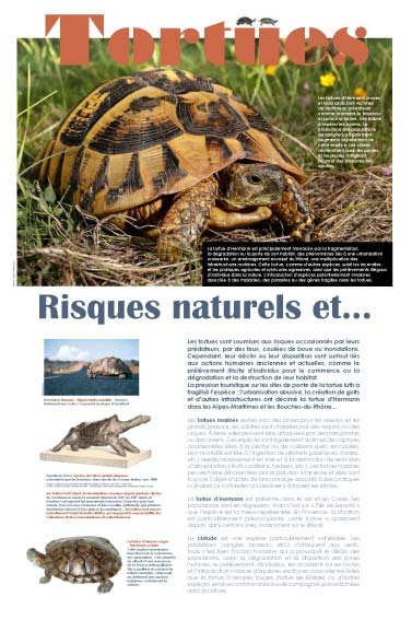 Panneau de l'exposition Tortues