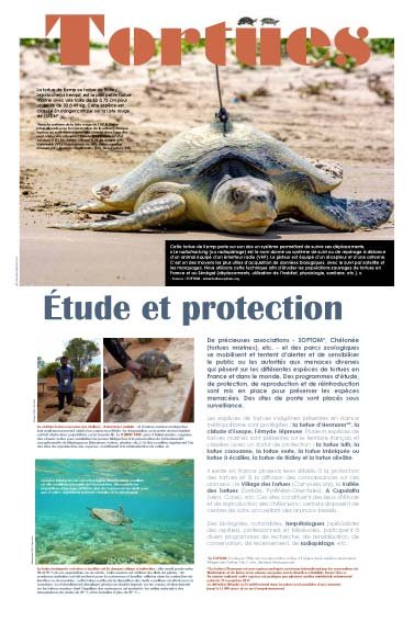 Panneau de l'exposition Tortues