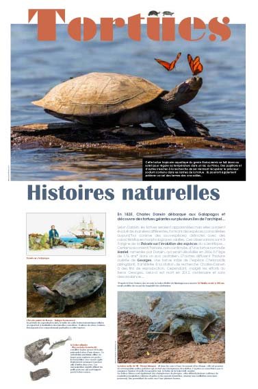 Panneau de l'exposition Tortues