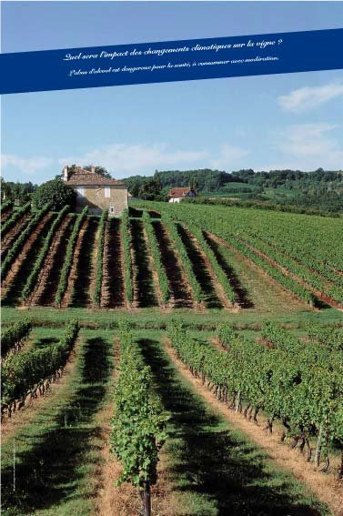 Panneau de l'exposition Vigne, vignoble, vin