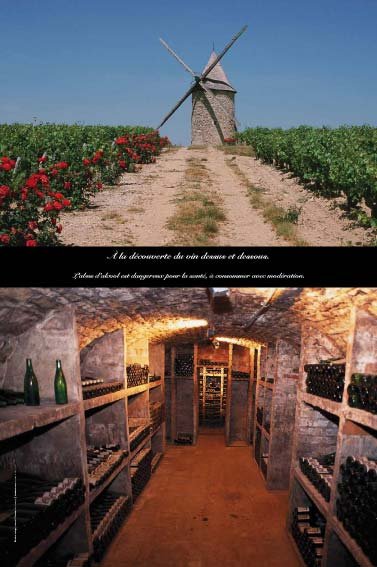 Panneau de l'exposition Vigne, vignoble, vin