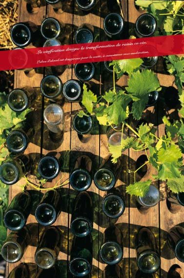 Panneau de l'exposition Vigne, vignoble, vin